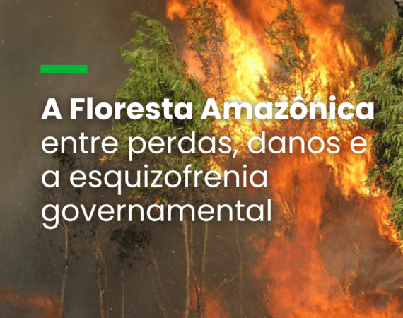 Degradação da Floresta Amazônica é maior que desmatamento e emite tanto carbono quanto