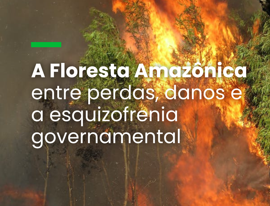 Degradação Da Floresta Amazônica é Maior Que Desmatamento E Emite Tanto ...