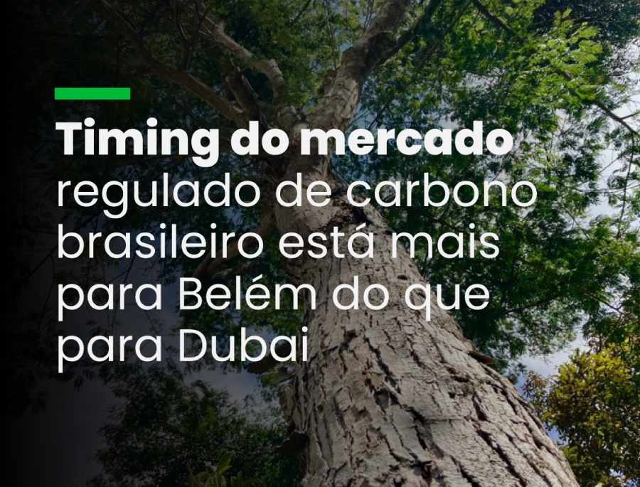 Minuta de regulação do mercado de carbono que tem circulado traz versão “genérica” do projeto de lei