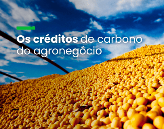 Colheita de grãos - Rufino, R.R. - Embrapa horizontal