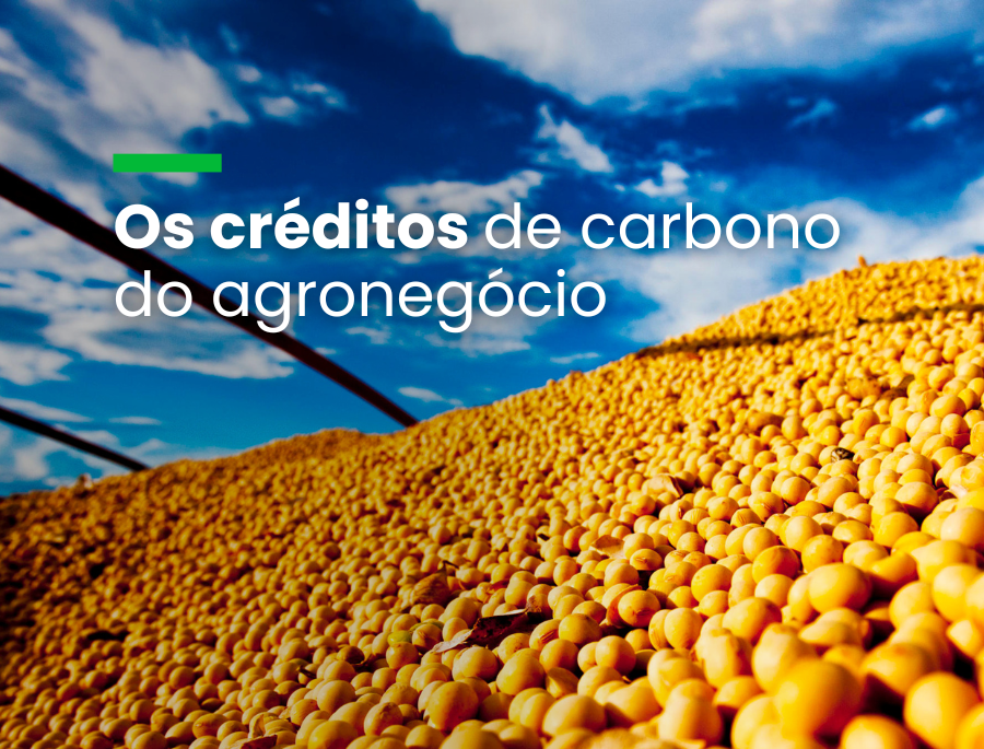 Enquanto os créditos florestais são escrutinados, peixes, mariscos e algas podem sair na frente das commodities