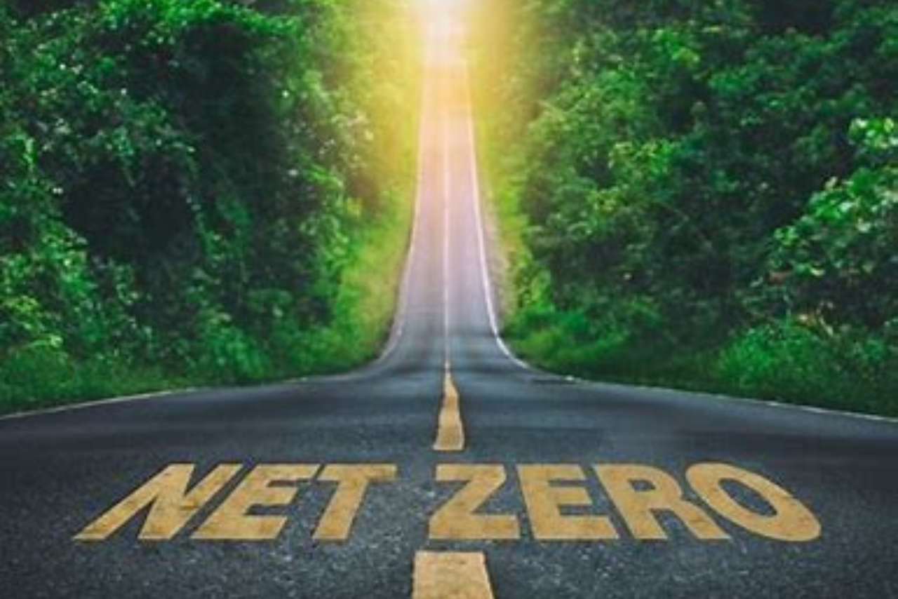 net zero
