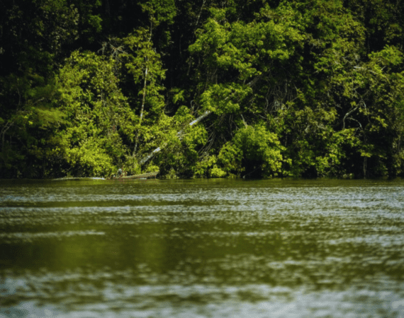 Emissões de CO2 na Amazônia dobraram de 2019 a 2020, segundo Inpe