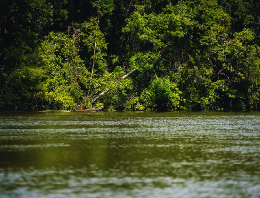 Emissões de CO2 na Amazônia dobraram de 2019 a 2020, segundo Inpe