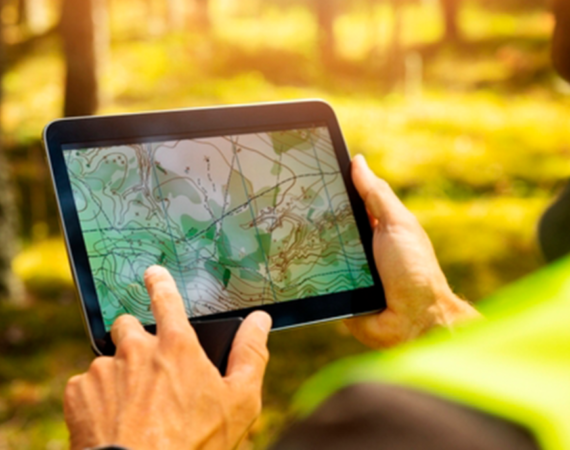 Iberdrola lança a C2N para reduzir pegada de carbono