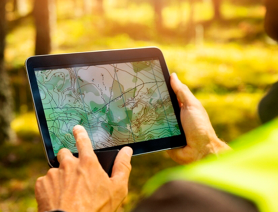 Iberdrola lança a C2N para reduzir pegada de carbono