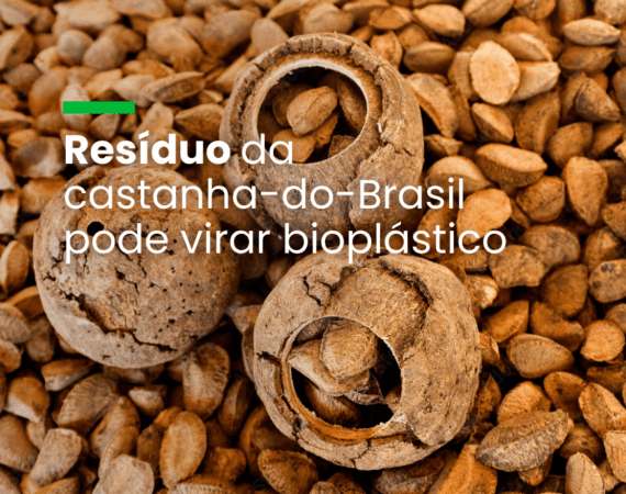 Resíduo da castanha-do-Brasil pode virar bioplástico
