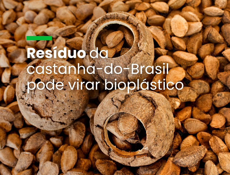 Produção será testada no Amazonas e tem potencial de faturar R$ 20 milhões em três anos