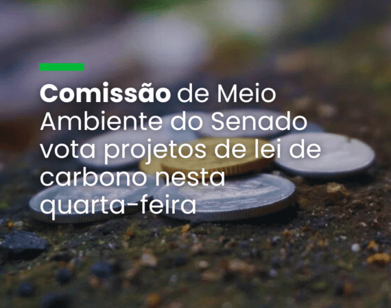 Comissão de Meio Ambiente do Senado vota projetos de lei de carbono nesta quarta-feira