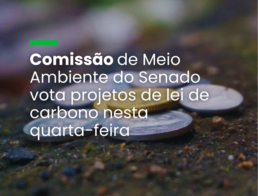Submeter os créditos de carbono à CVM é considerado o maior avanço da proposta