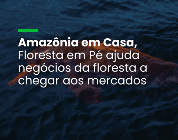 Amazônia em Casa, Floresta em Pé” ajuda negócios da floresta a chegar aos mercados
