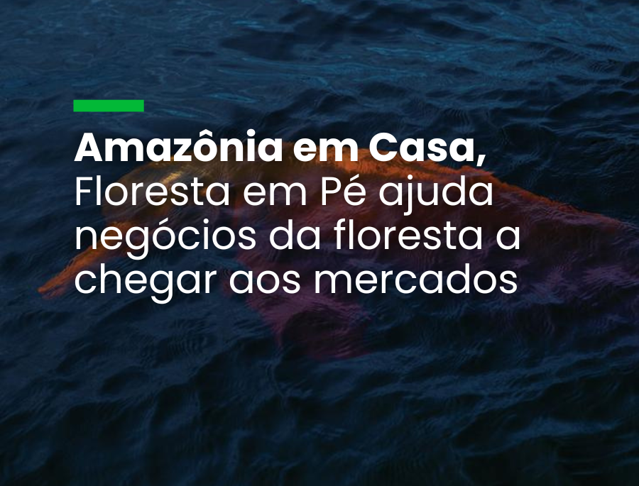 Custo logístico e burocracia são desafios para empreendimentos da sociobiodiversidade
