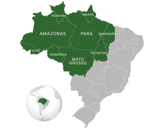 Governadores da Amazônia Legal criticam ausência dos estados no PL da descarbonização