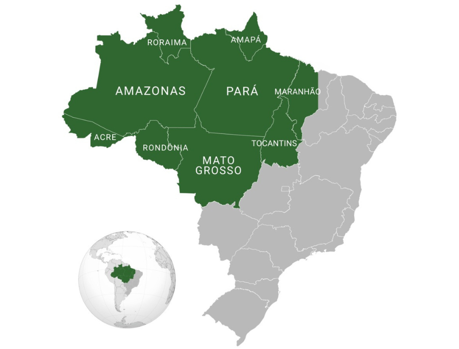 Governadores da Amazônia Legal criticam ausência dos estados no PL da descarbonização