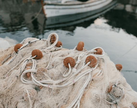 Encontro nacional debaterá pegada de carbono da aquicultura