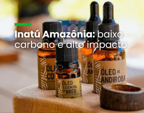 Inatú Amazônia baixo carbono e alto impacto