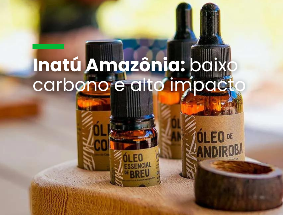 Marca comunitária de produtos da Amazônia já faturou R$ 7 milhões e ajudou a conservar 2,5 milhões de hectares