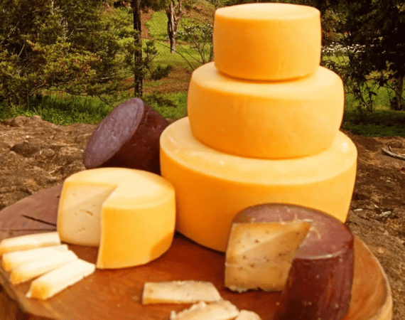 Vidalat é o primeiro queijo colonial brasileiro carbono neutro