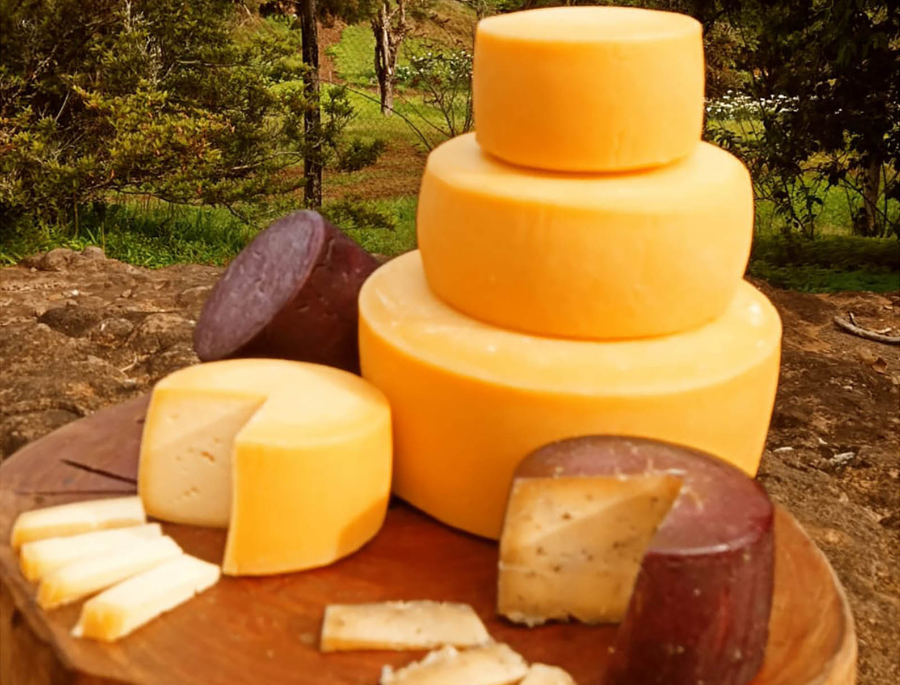 Vidalat é o primeiro queijo colonial brasileiro carbono neutro