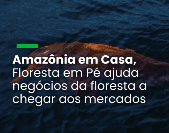 Amazônia em Casa, Floresta em Pé” ajuda negócios da floresta a chegar aos mercados