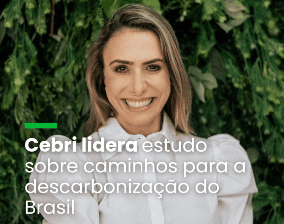 Cebri lidera estudo sobre caminhos para a descarbonização do Brasil