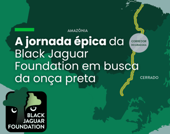 A jornada épica da Black Jaguar Foundation em busca da onça preta