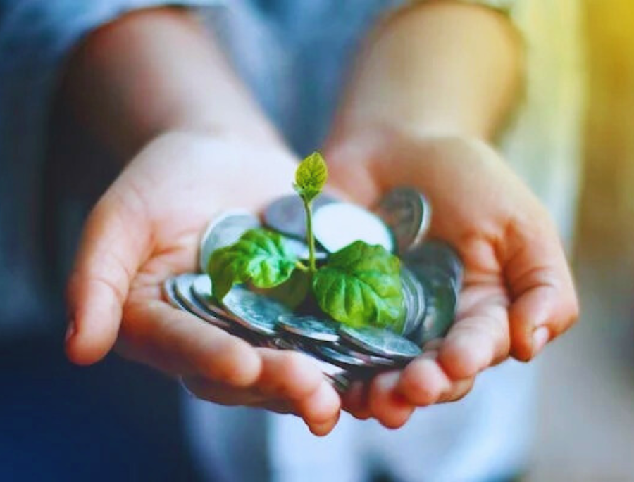 FMI e Banco Mundial publicam relatório sobre alinhamento climático para o setor financeiro