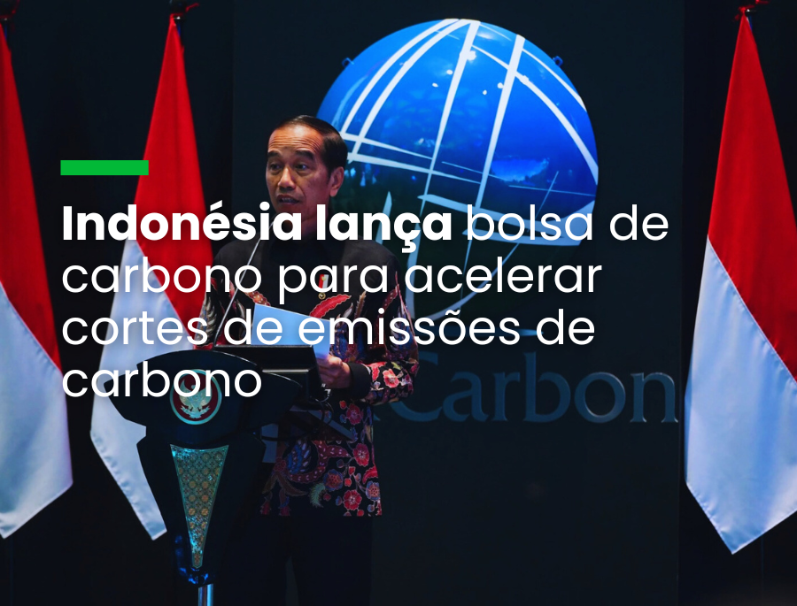Indonésia lança bolsa de carbono para acelerar cortes de emissões de carbono
