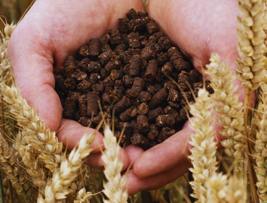 Nestlé e Cargill testam uso de cascas de cacau na produção de fertilizante de baixo carbono
