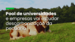 Pool de universidades e empresas vai estudar descarbonização da pecuária