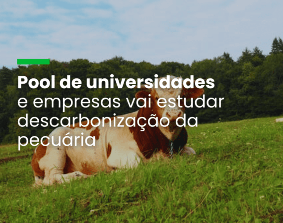 Pool de universidades e empresas vai estudar descarbonização da pecuária