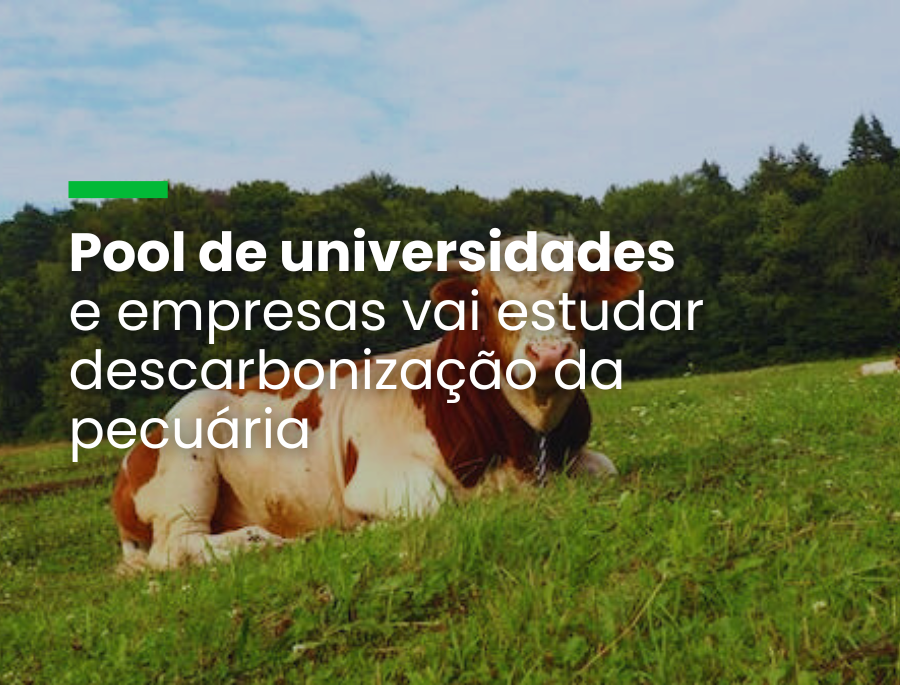 Pool de universidades e empresas vai estudar descarbonização da pecuária