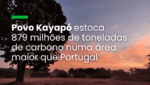 Povo Kayapó estoca 879 milhões de toneladas de carbono numa área maior que Portugal