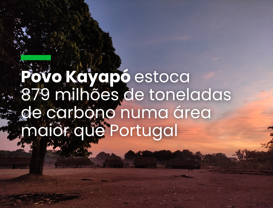 Estudo inédito confirma importância de territórios indígenas para mitigar mudanças climáticas