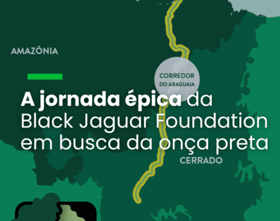 A jornada épica da Black Jaguar Foundation em busca da onça preta