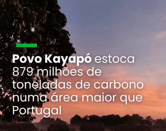 Povo Kayapó estoca 879 milhões de toneladas de carbono numa área maior que Portugal
