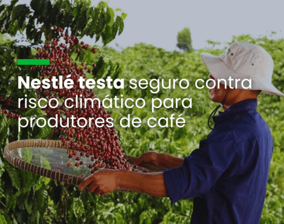 Nestlé testa seguro contra risco climático para produtores de café