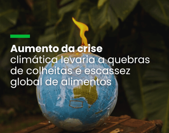 Lloyd's prevê que clima extremo pode provocar perdas mundiais de US$ 5 trilhões em cinco anos