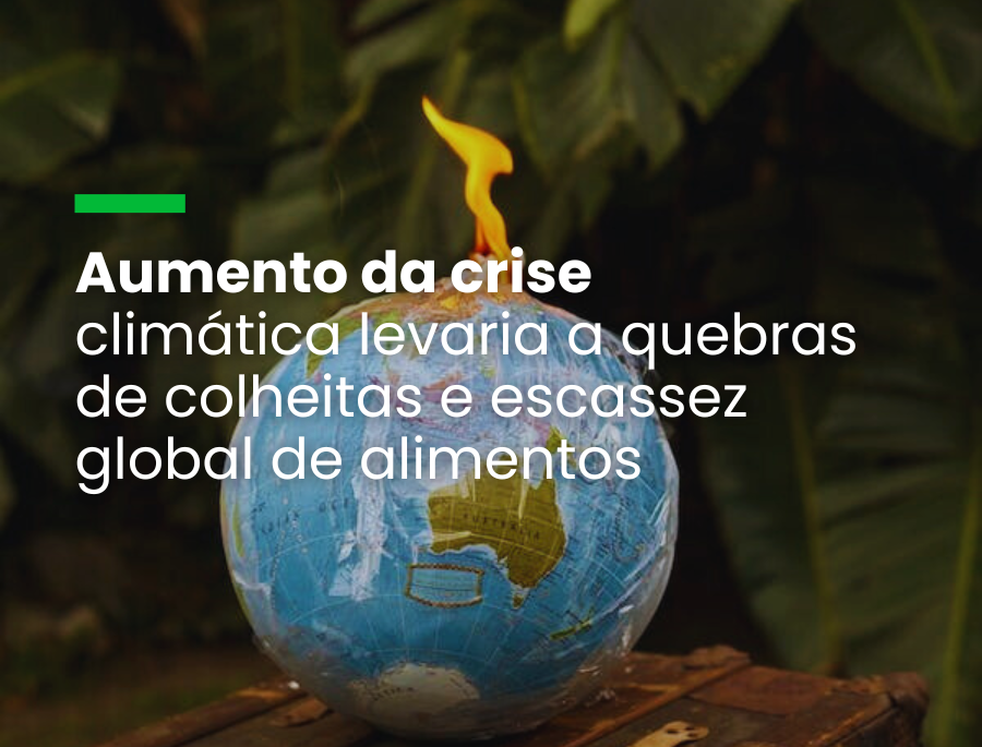 Lloyd's prevê que clima extremo pode provocar perdas mundiais de US$ 5 trilhões em cinco anos