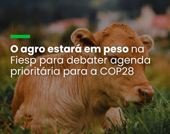 O agro estará em peso na Fiesp para debater agenda prioritária para a COP28