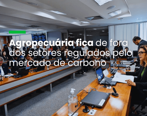 Agropecuária fica de fora dos setores regulados pelo mercado de carbono