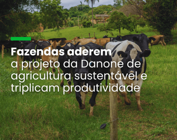 Danone supera em 650% meta de implantar agricultura de baixo CO2 entre fornecedores de leite