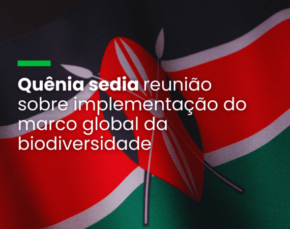 Encontro em Nairobi orientará a preparação da COP16 da ONU sobre diversidade biológica
