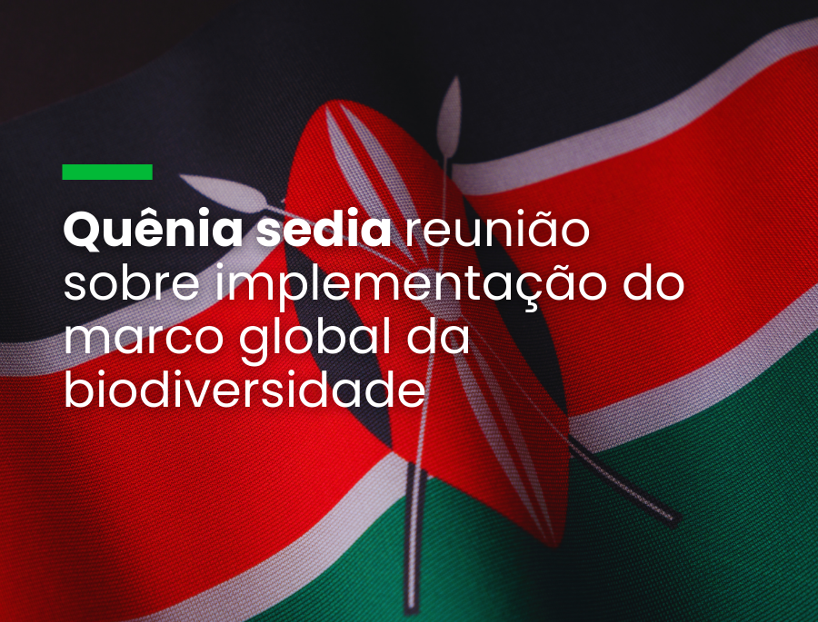 Encontro em Nairobi orientará a preparação da COP16 da ONU sobre diversidade biológica