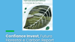 eBook orienta sobre investimento florestal associado ao mercado de créditos de carbono