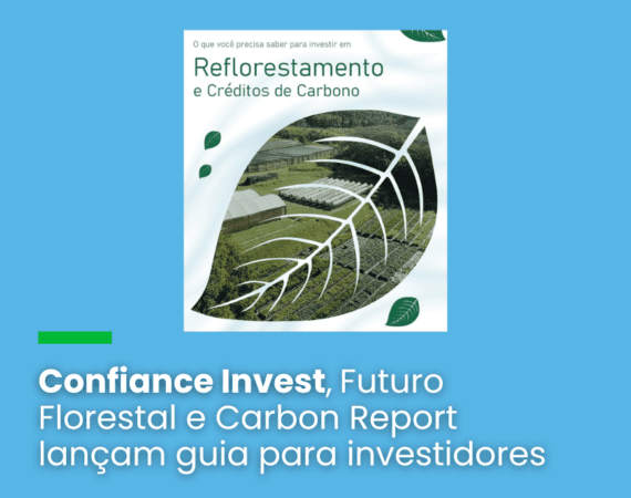 eBook orienta sobre investimento florestal associado ao mercado de créditos de carbono