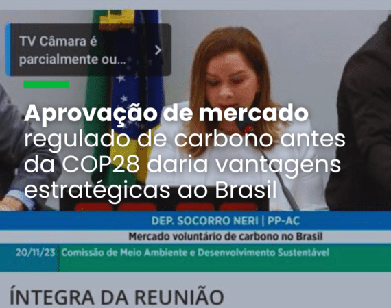 Participantes questionaram a ausência do agro no mercado de CO2 e governança prevista no PL