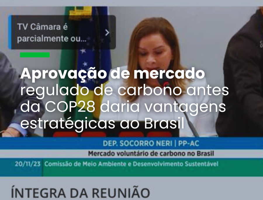 Participantes questionaram a ausência do agro no mercado de CO2 e governança prevista no PL
