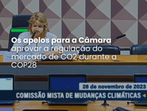 Teste Conteúdo de Marca