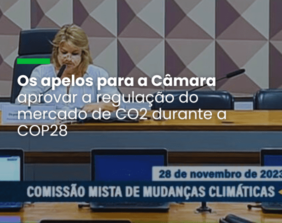 Comissão mista do Congresso realiza nova reunião para debater o mercado regulado de carbono